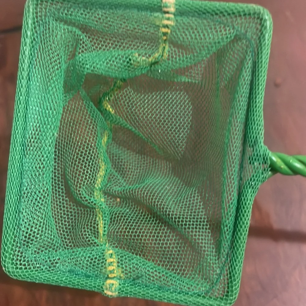 tetra bundle fish